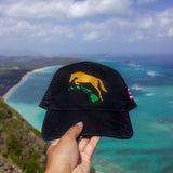 Origins Hat
